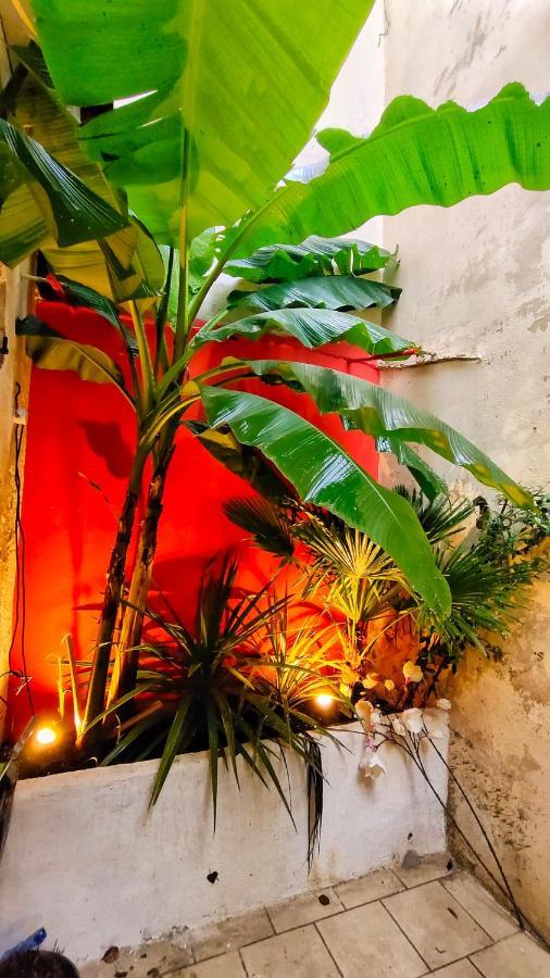 Votre Escale Jungle Sauna & Spa Niort Zewnętrze zdjęcie